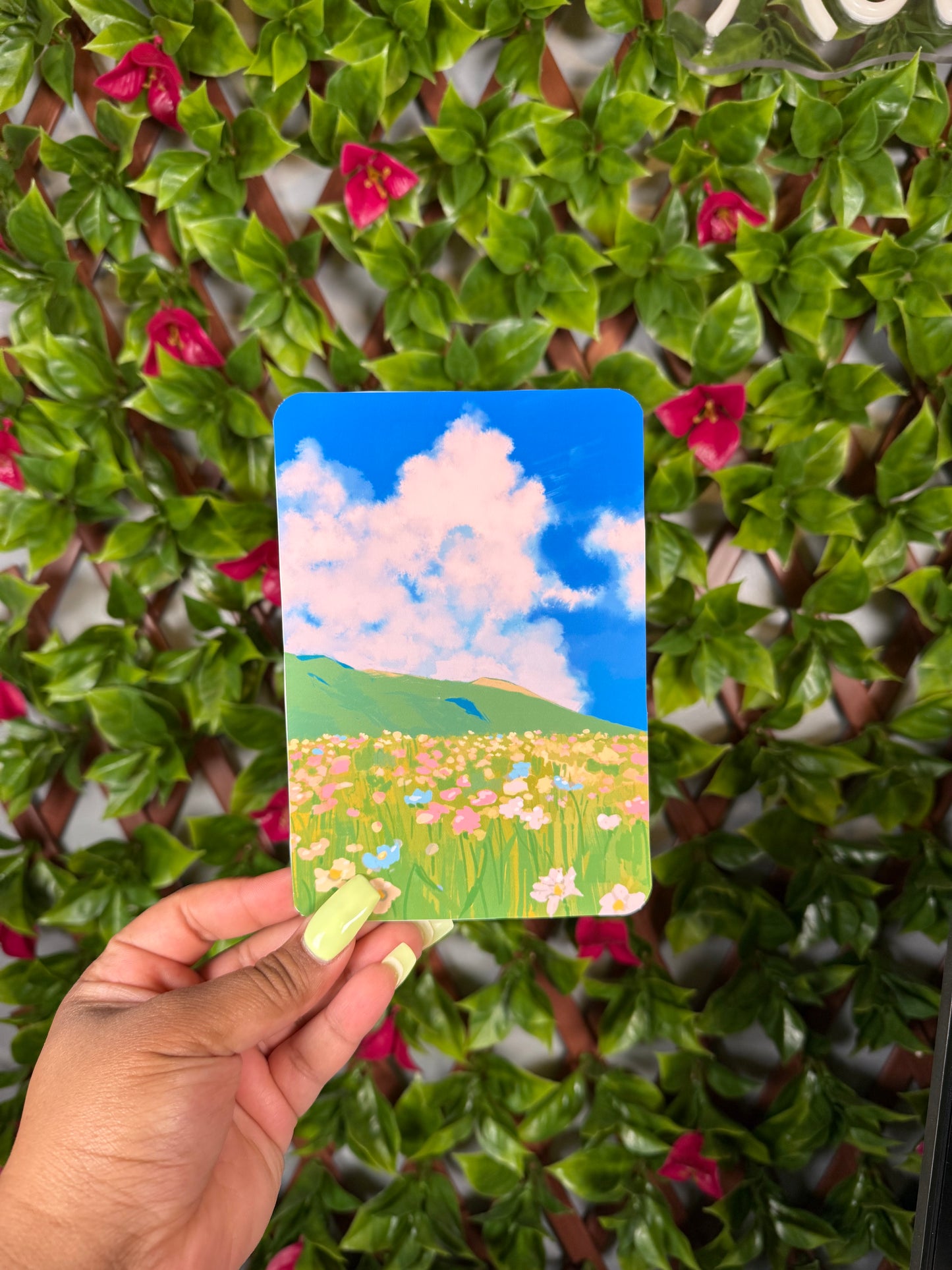 Full Collection of ALL Inserts & Bookmarks