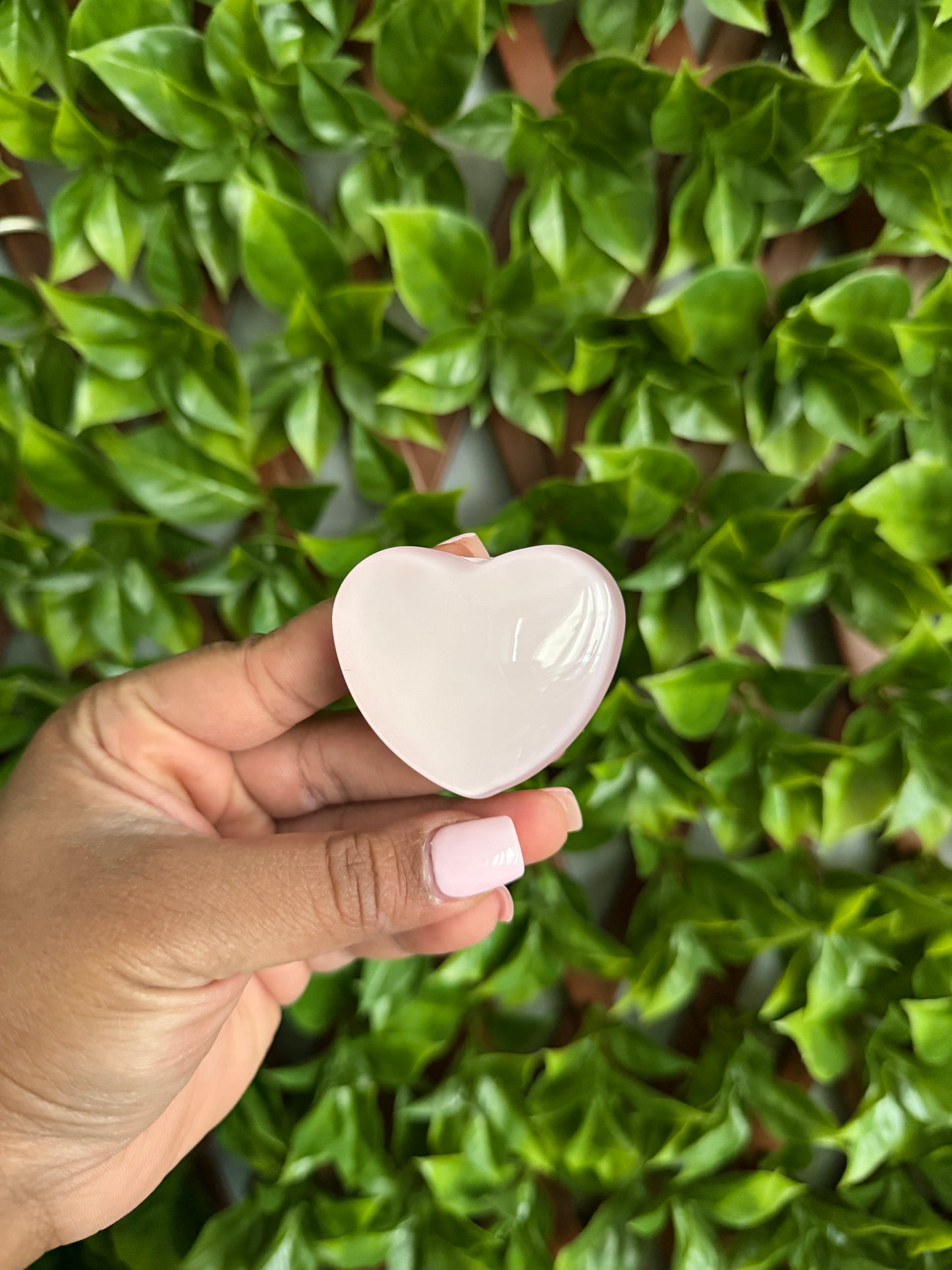 Spring PopSockets